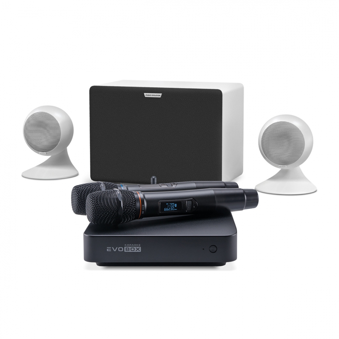 караоке-комплект EVOBOX Classic + EvoSound Sphere 2.1 в Можайске